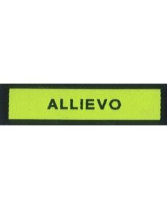 QUALIF. HD 10*2,5 "ALLIEVO"